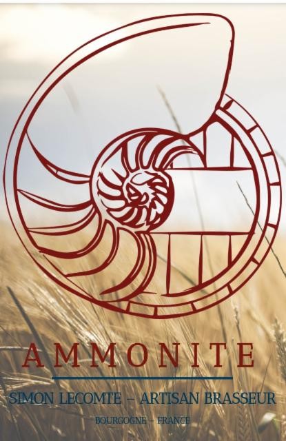 Ammonite